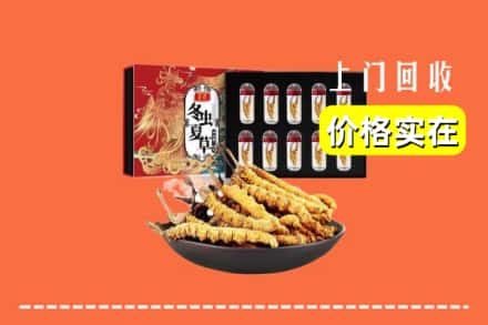 南宁市武鸣回收冬虫夏草